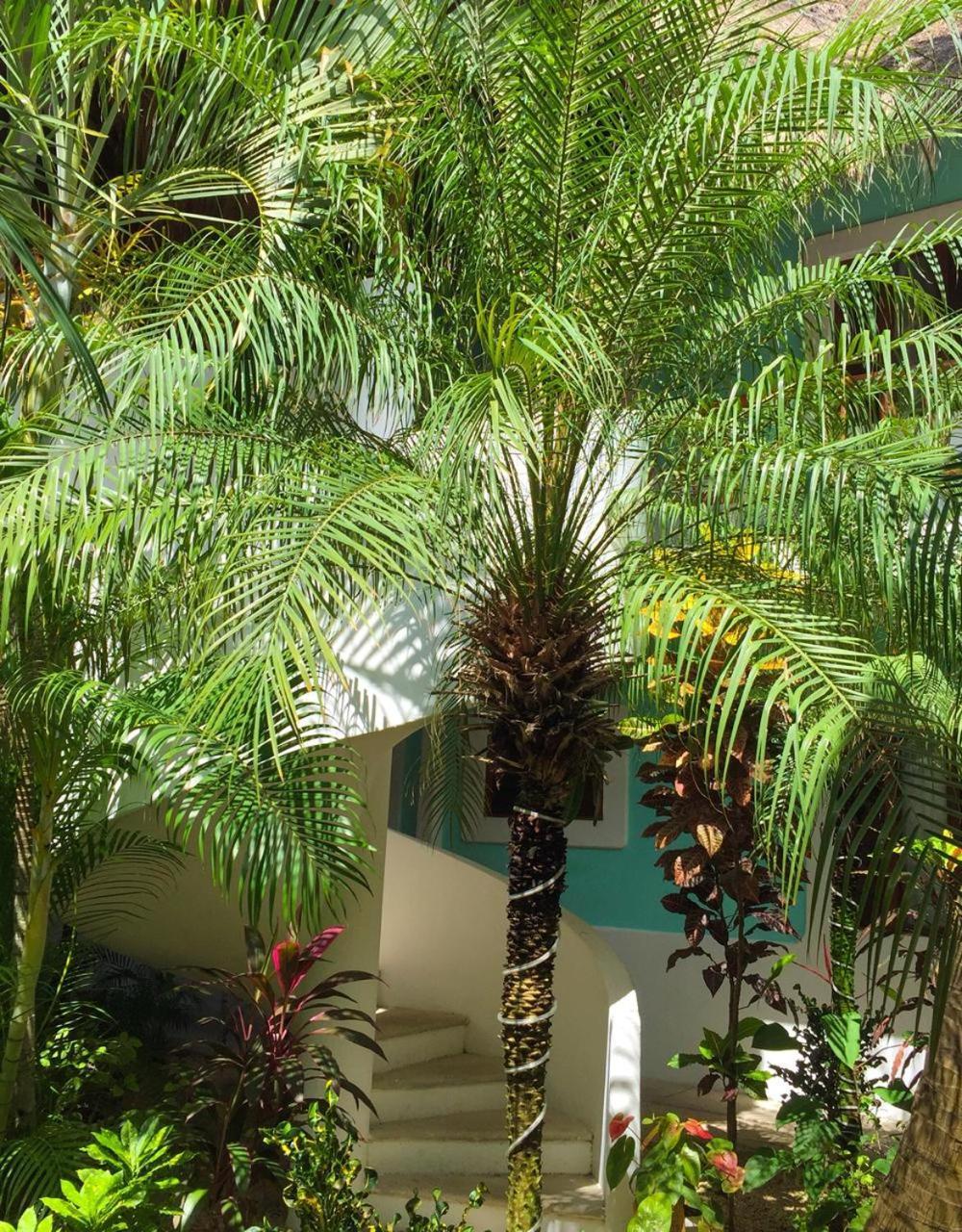 Hotel Toto Blue Boutique Bacalar